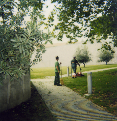 daytime-stories