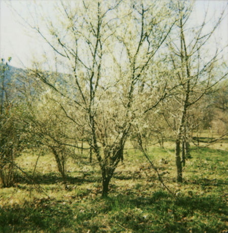 daytime-stories