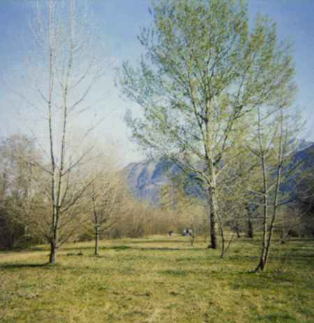 daytime-stories