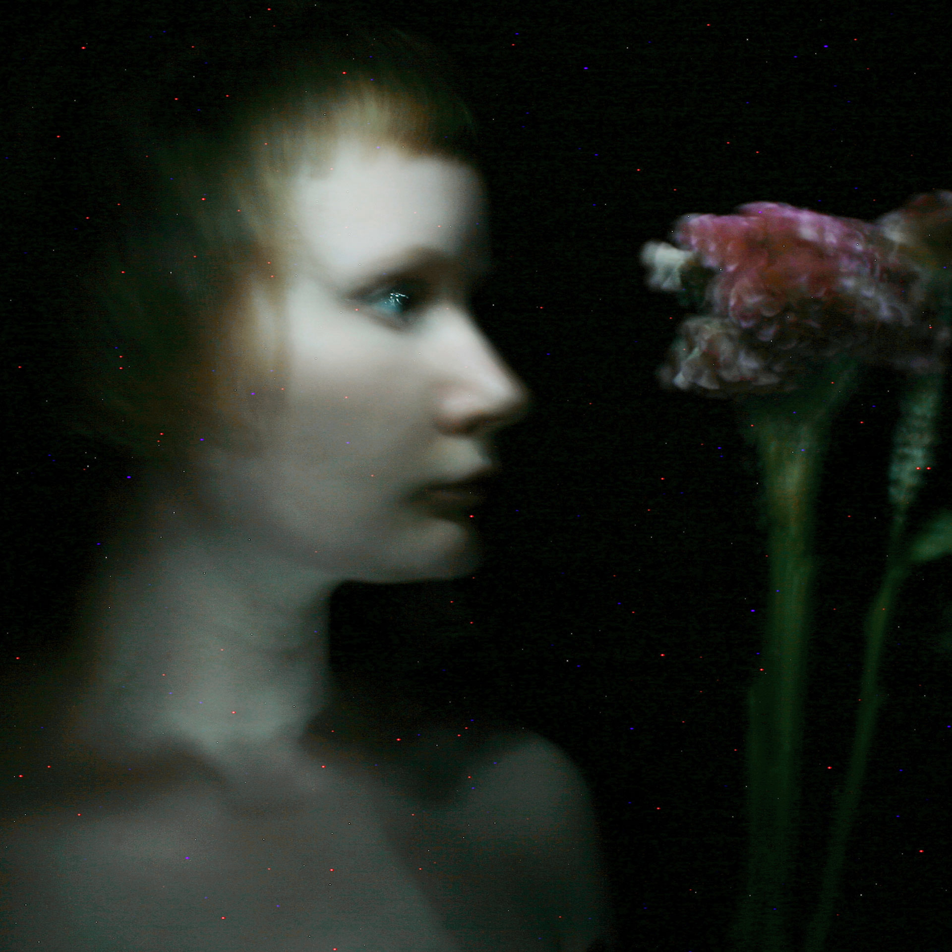 In The Dark
