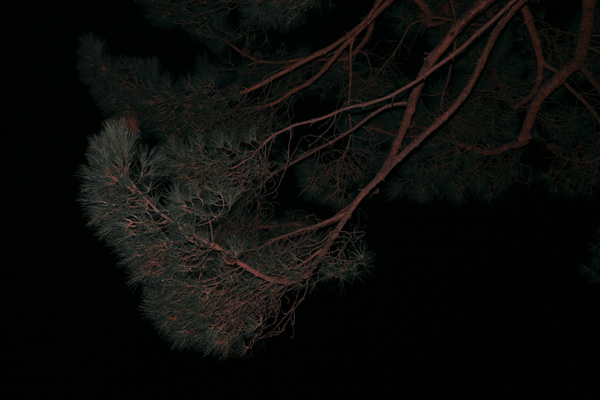 present-light