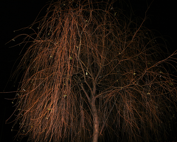 present-light