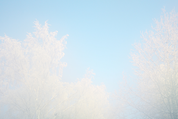 present-light