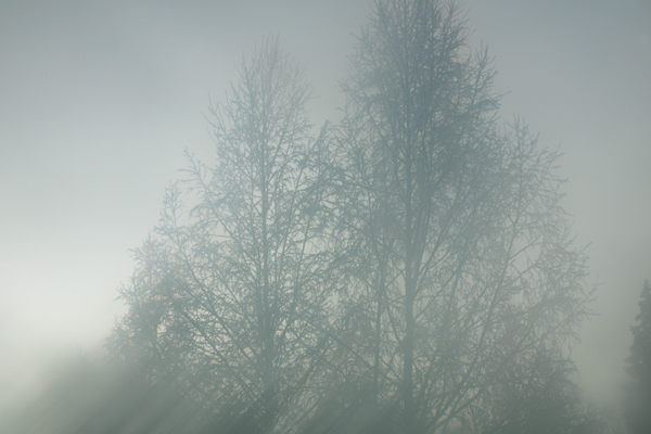 present-light