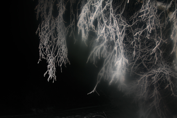 present-light